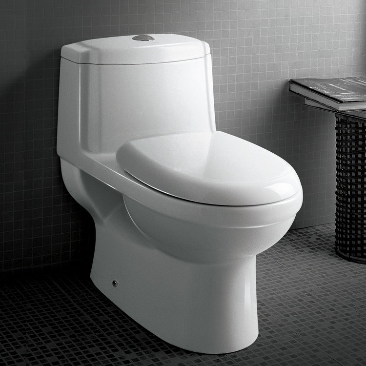 Best Toilet Reviews 2021 Check out These TOP 12 Choices!